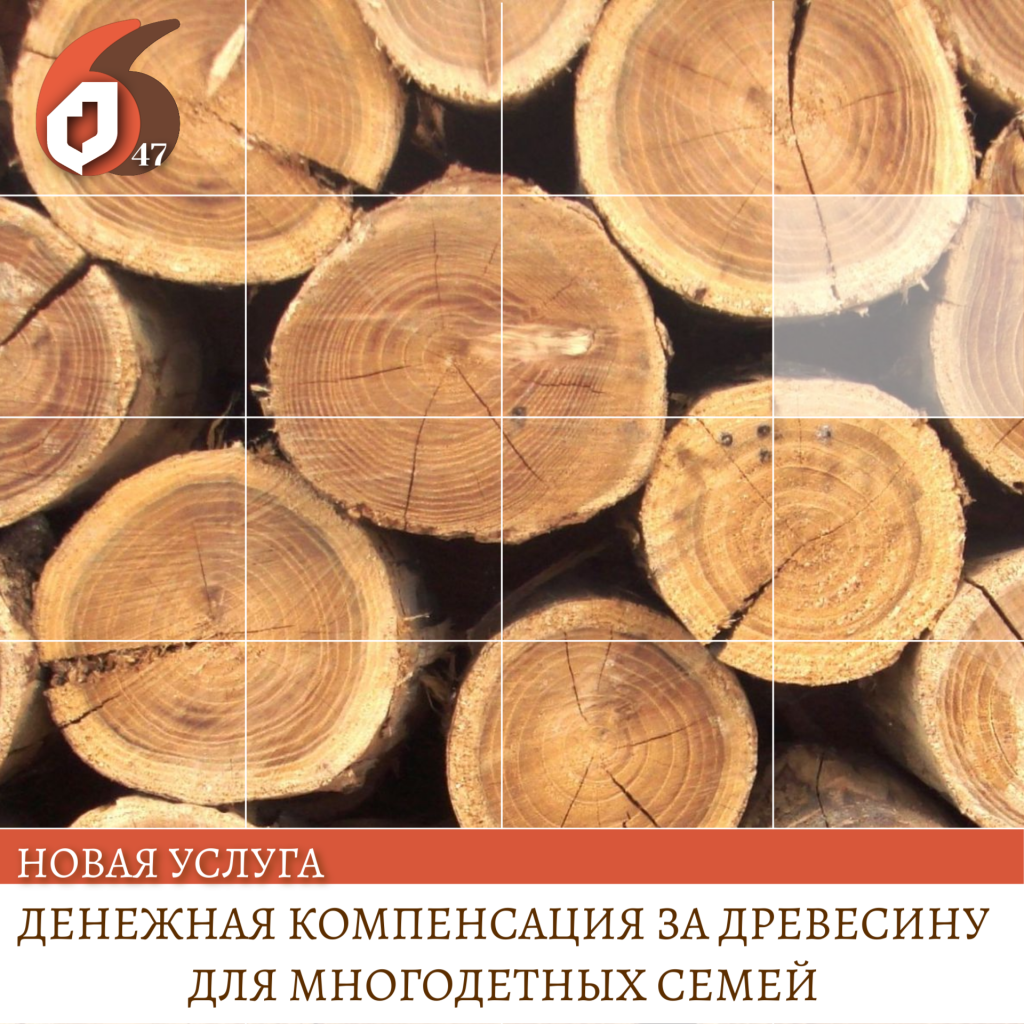 Копия Копия Копия Копия Копия Копия Копия Копия Копия Копия Копия Поздравляем с Днём российского (16).png