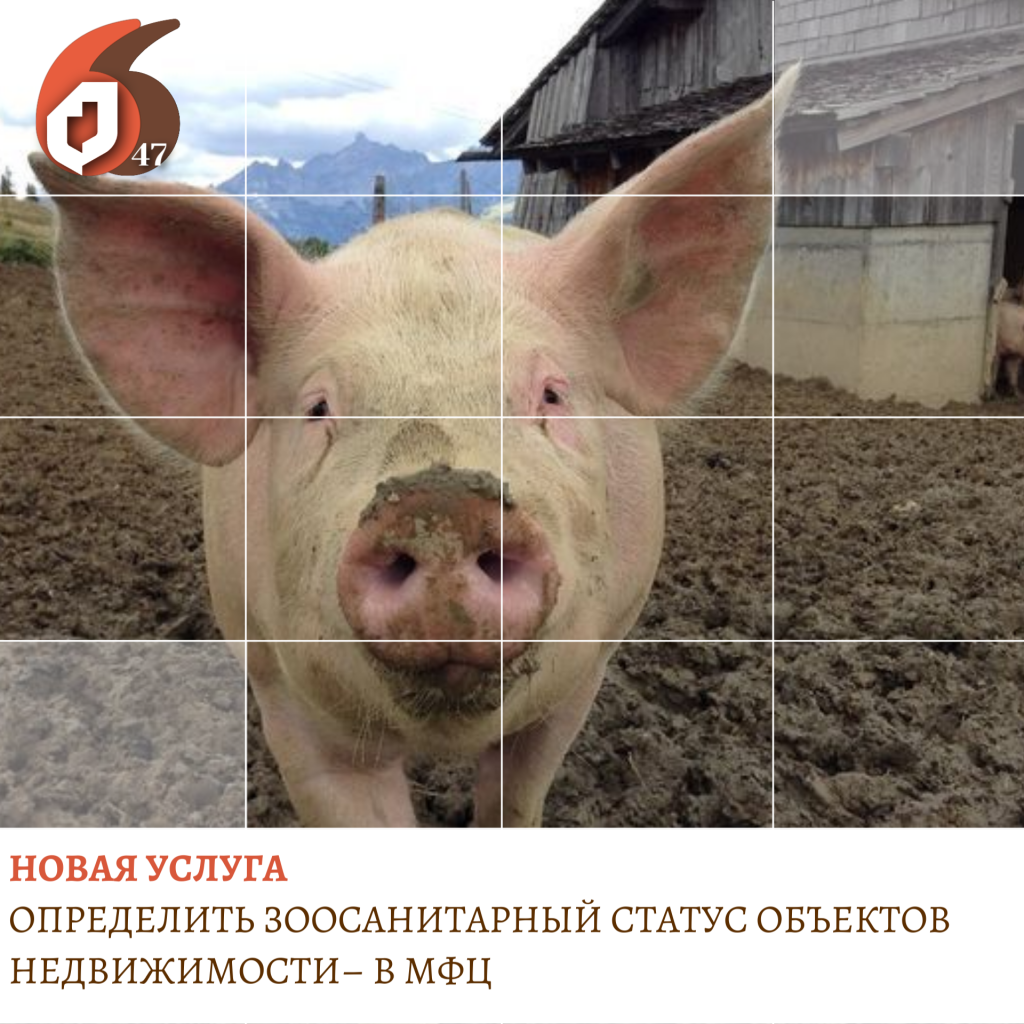 Копия .png