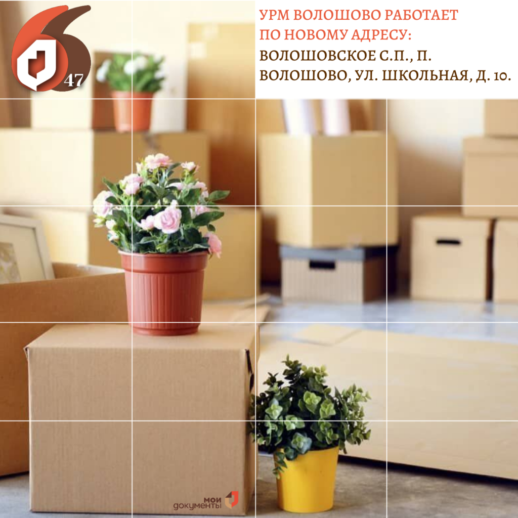 Копия Копия Копия Копия Копия Копия Копия Копия Копия Копия Копия Копия Копия Копия Копия Копия Копия Копия Поздравляем с Днём российского (9).png